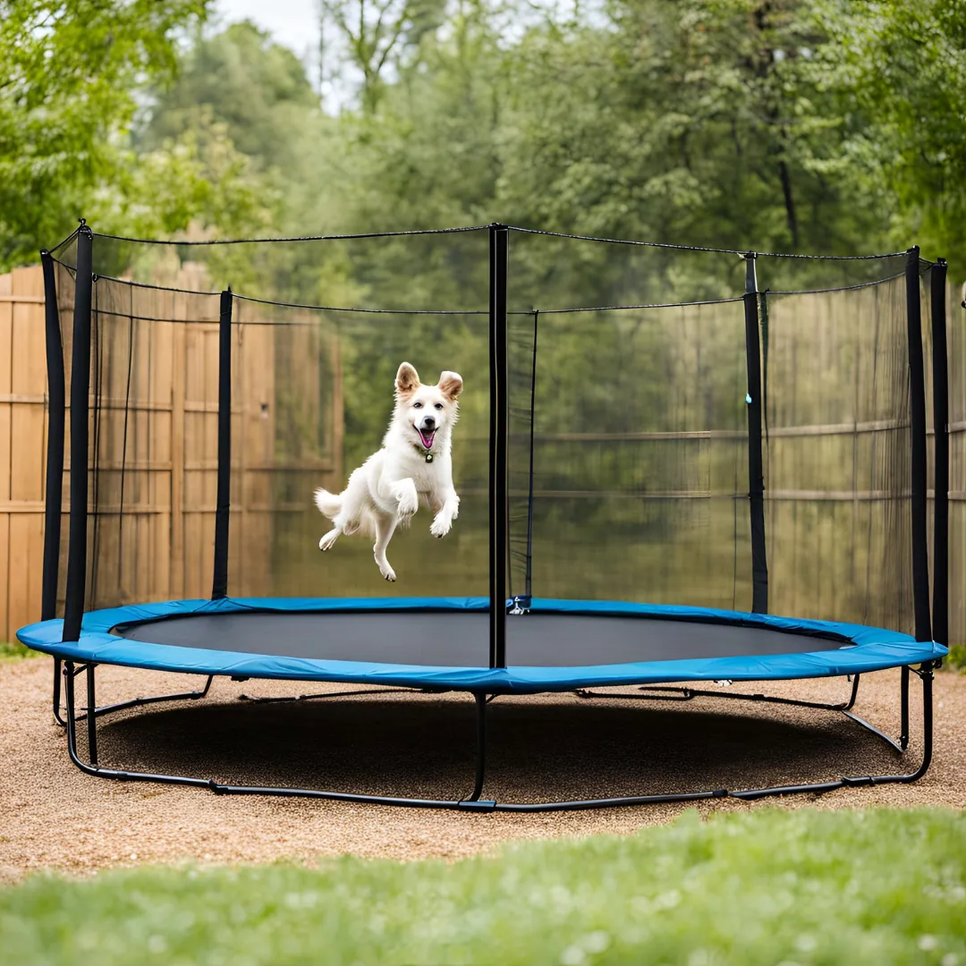 Riding out, a Dog and a Trampoline
