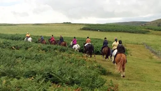 Is Your Horse Ready to Ride?