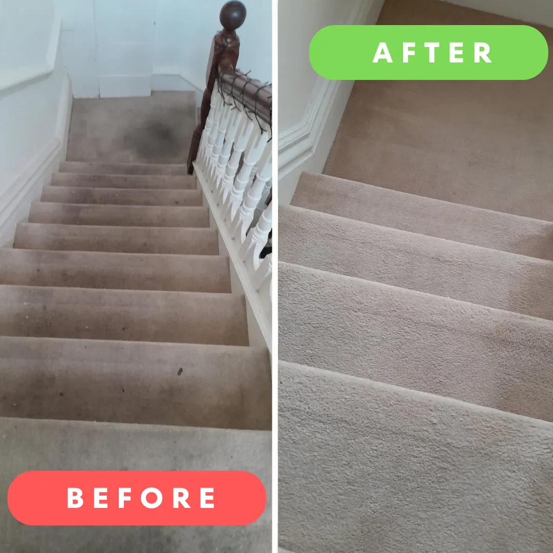 heavy footwear on carpets. Deep clean and they were gone