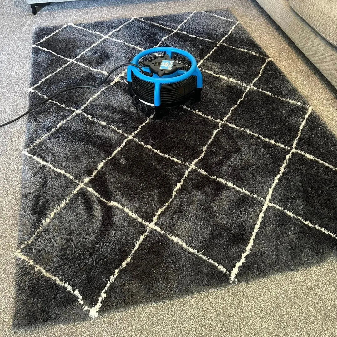 Rug drying after hot water extraction clean in Abergale