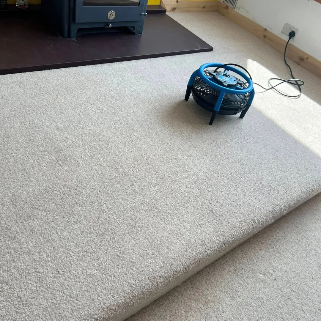 100% wool carpet after its hot water extraction clean today in North Wales