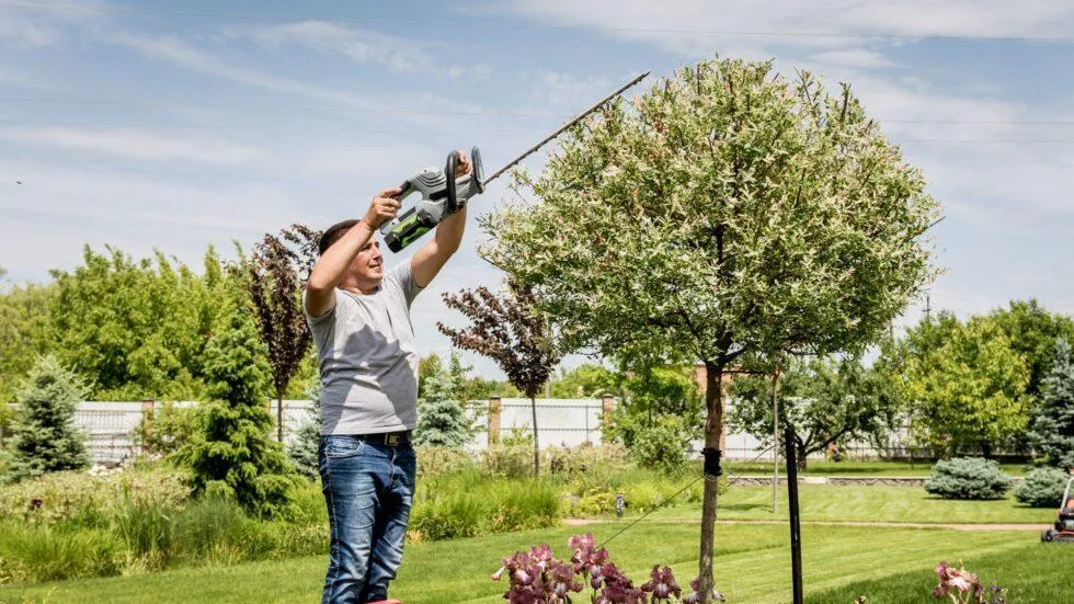 Tree Pruning
