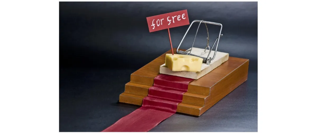 mousetrap with cheese