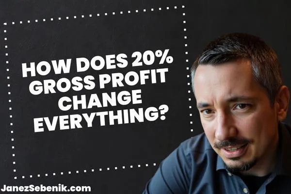 What does a 20% gross profit margin mean?