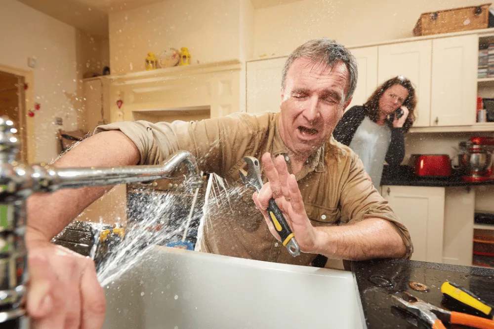 DIY vs. Professional Plumbing: When to Call the Experts 
