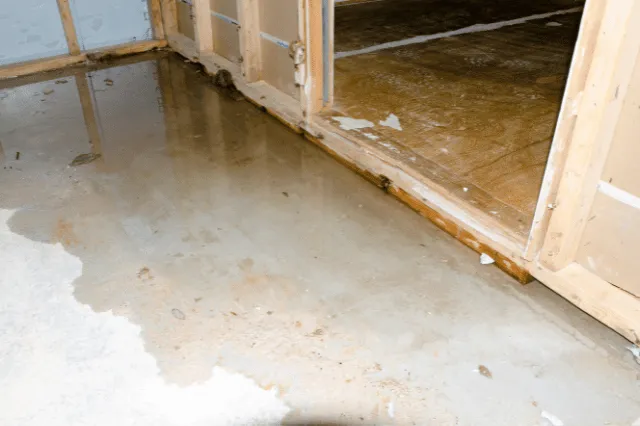 The Hidden Dangers of Water Damage: Why Immediate Action Saves You Time and Money