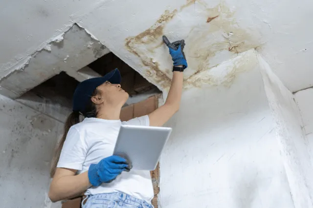 How to Spot Early Water Damage Before It Spreads