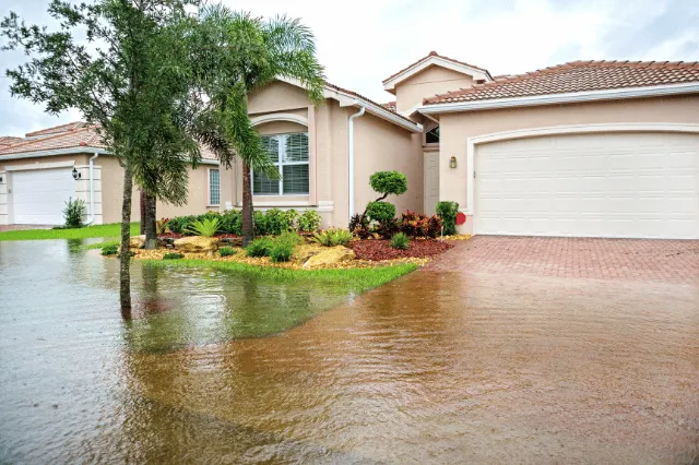 Why DIY Water Damage Cleanup Often Fails (and What to Do Instead)