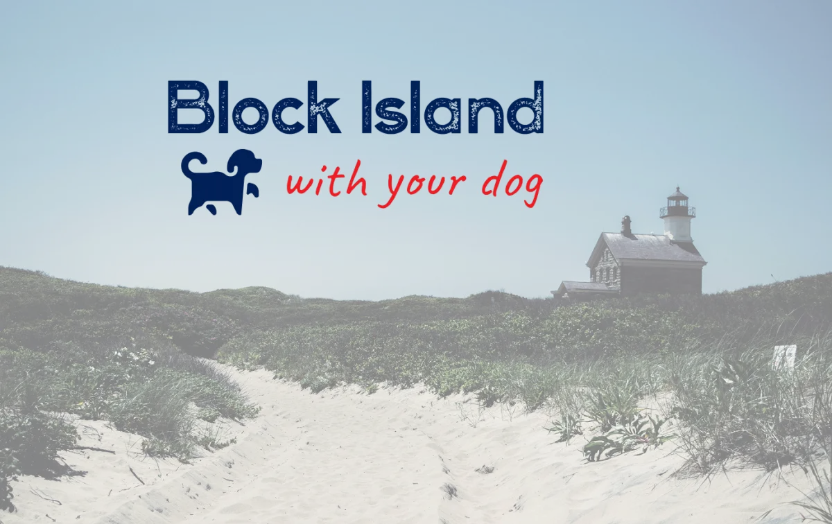 Sandy beach dunes leading up to a house on the water in Block Island RI