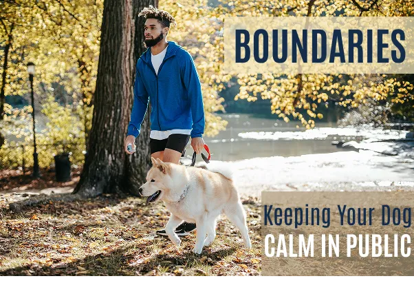 Rhode Island dog trainer walking dog in park with headline BOUNDARIES