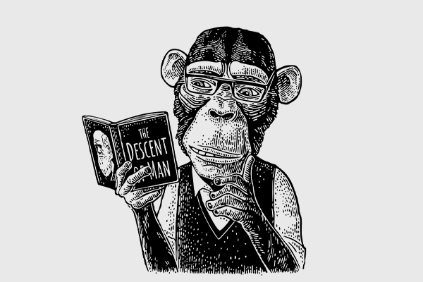 A Trial Worth Learning About - Part 2