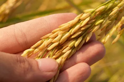 The Quiet Strength of Emotional Maturity