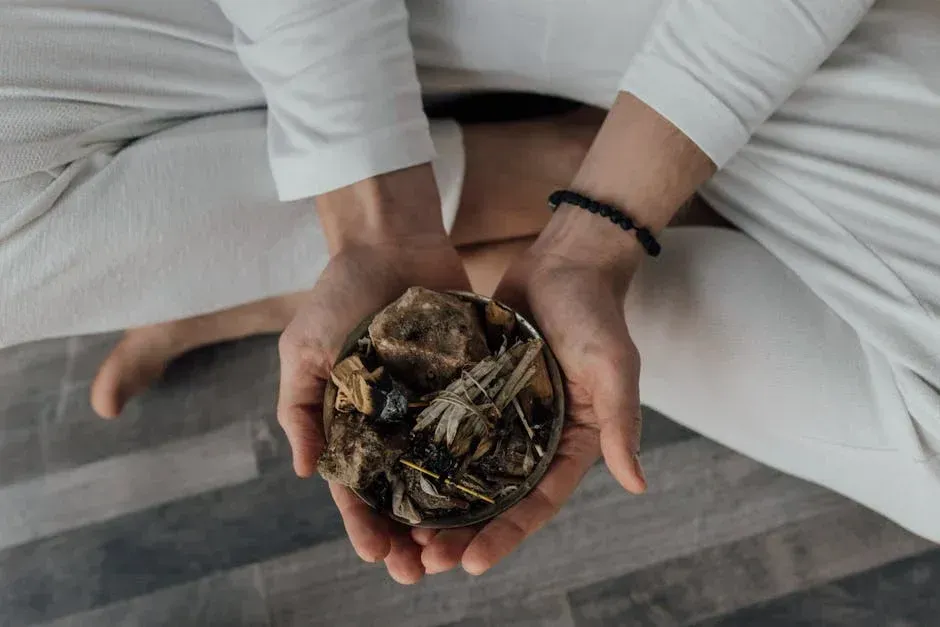 Adaptogens 101: Herbs That Help You Keep Calm and Carry On