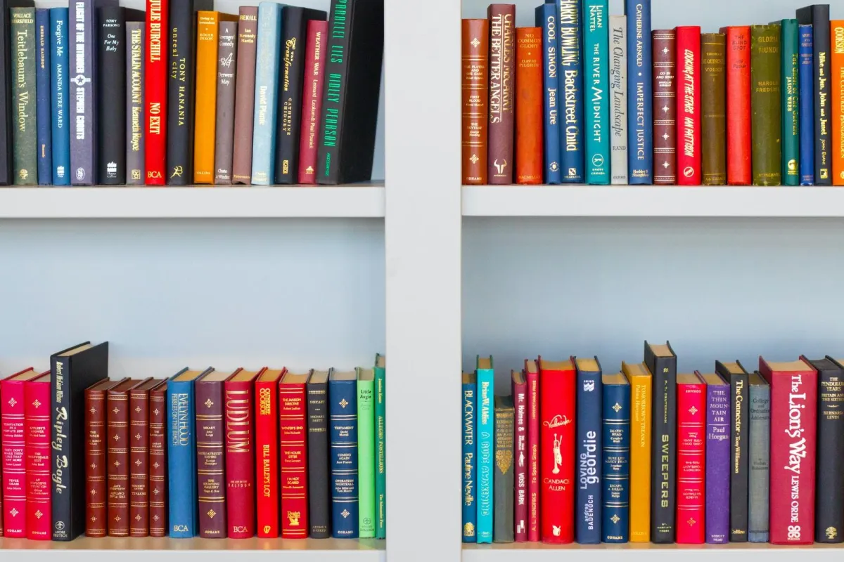 shelf of books