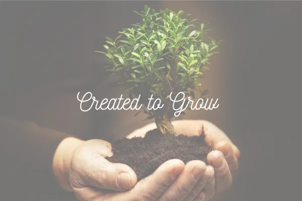Created to Grow