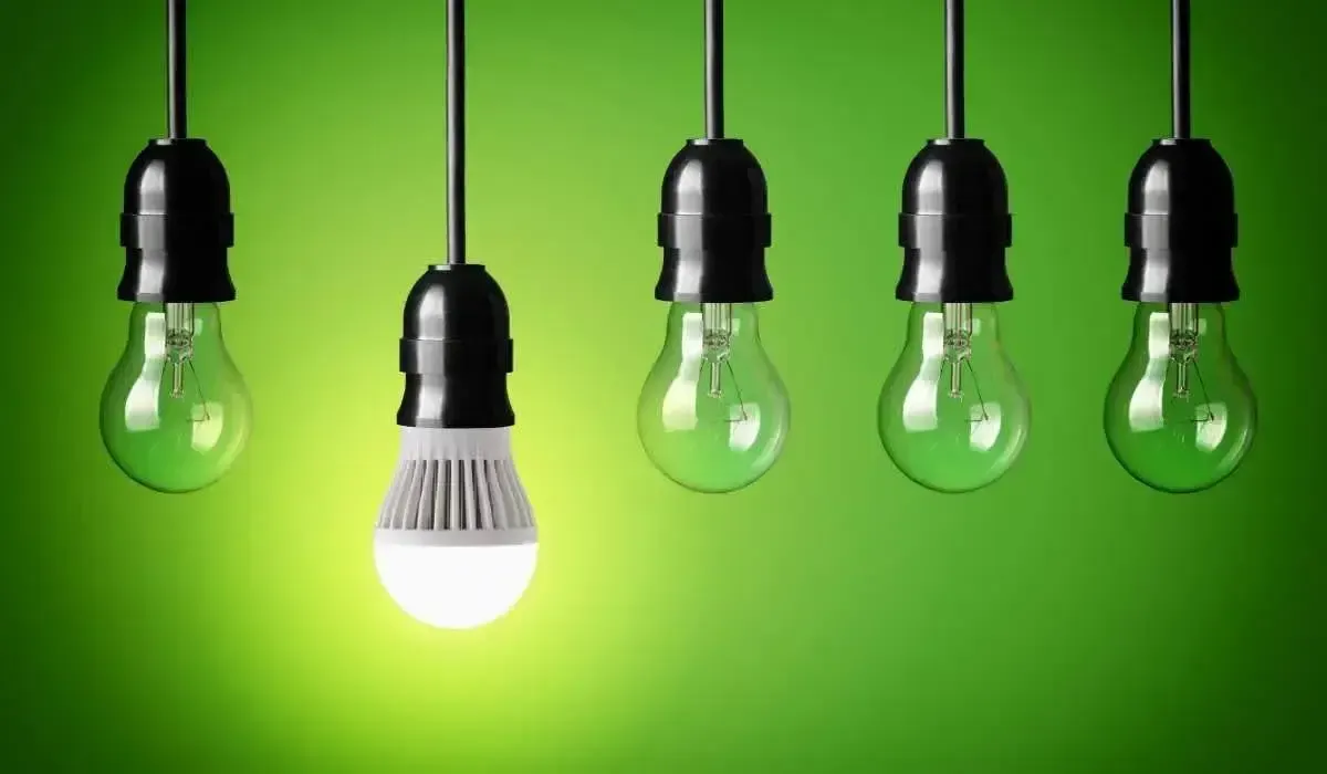 The ROI of Investing in Energy-Efficient Lighting
