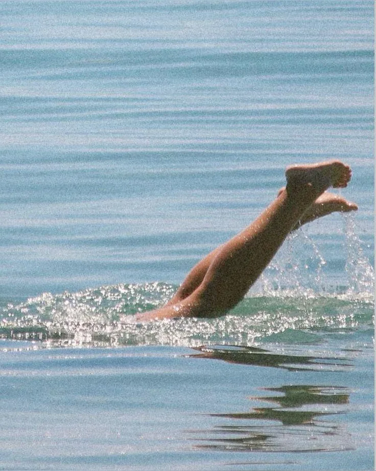 dive in