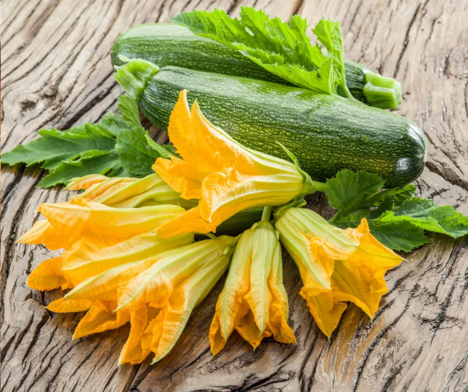 Courgettes et fleurs de courgettes Attitude naturo