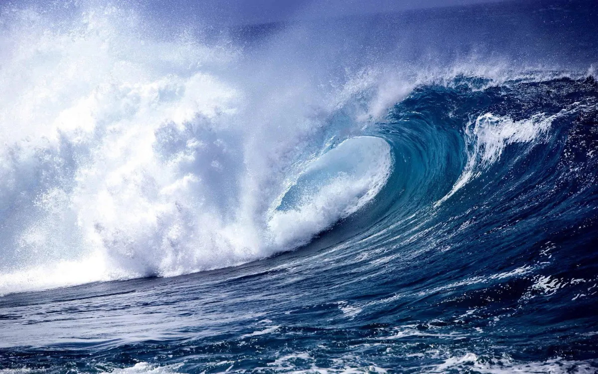 Ride The Wave