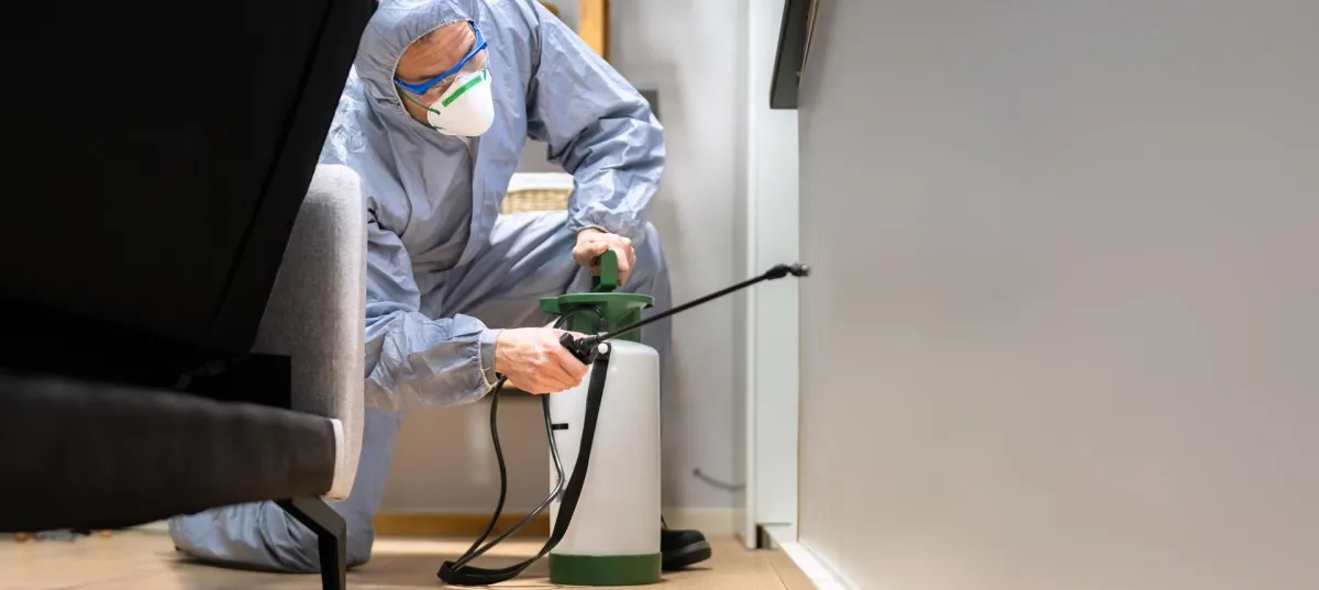 Exterminator in Burnaby