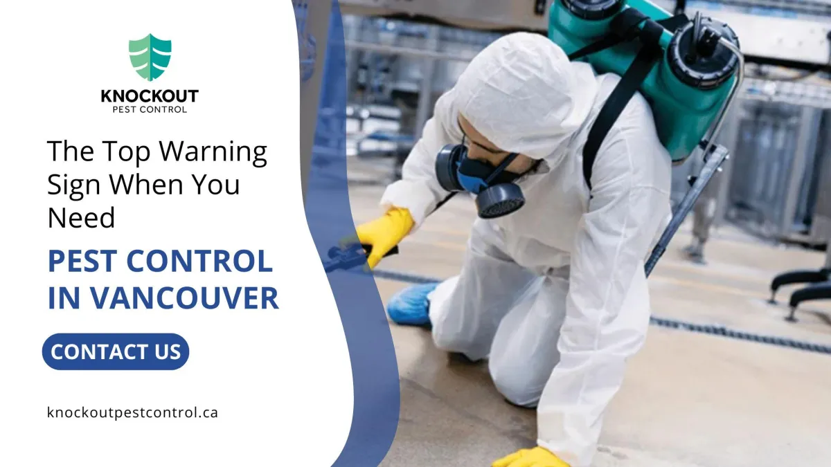 The Top Warning Sign When You Need Pest Control in Vancouver