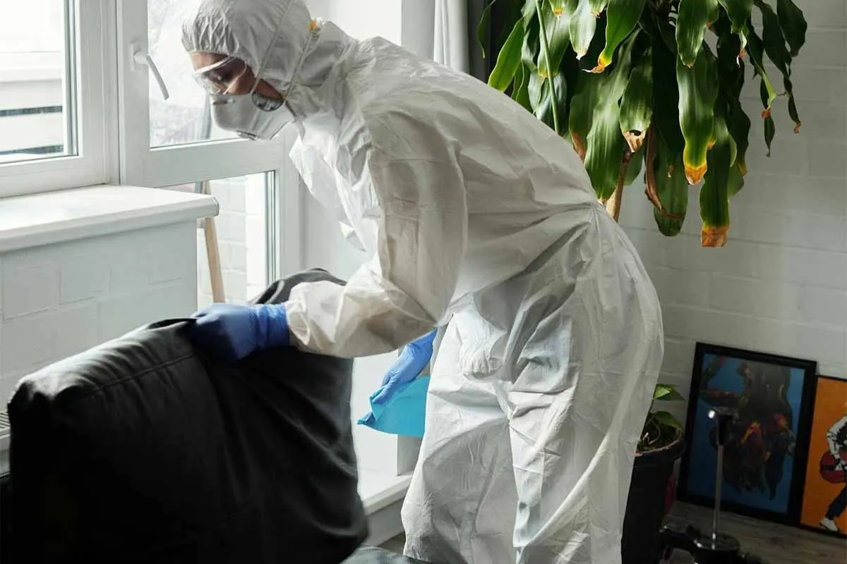 Must-Know Benefits of Hiring a Professional Exterminator in Vancouver