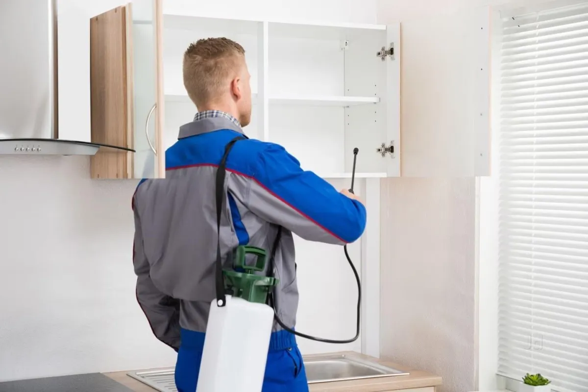 pest control in Burnaby