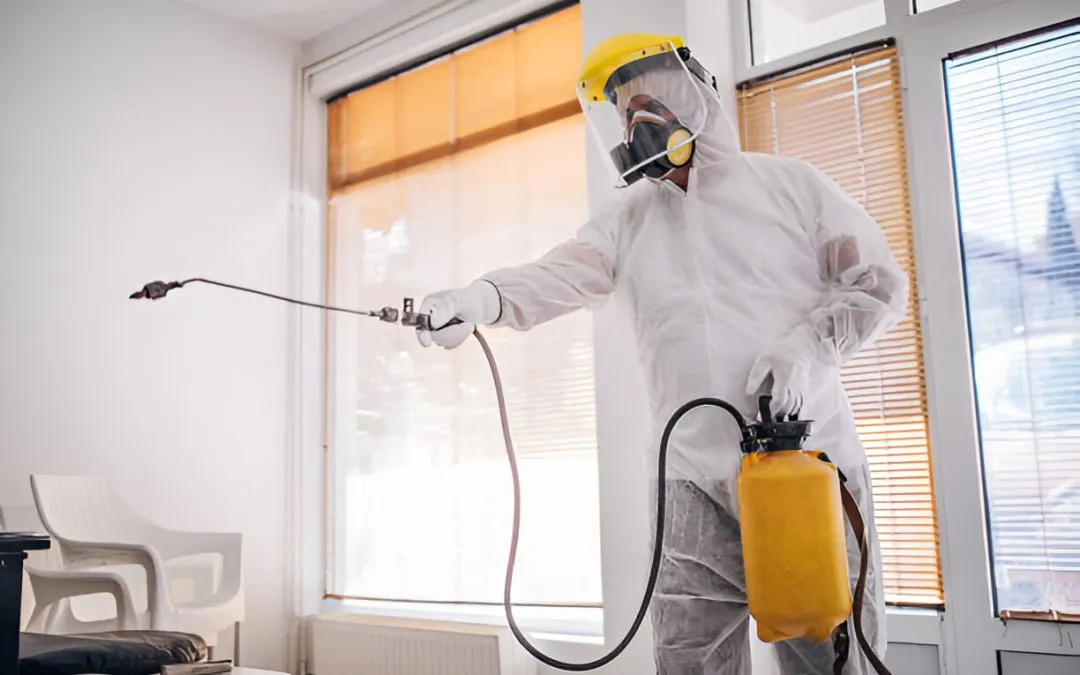 pest control