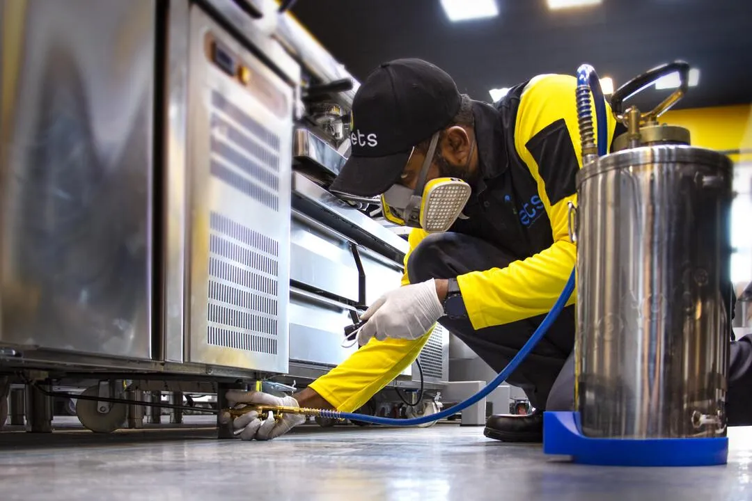pest control services burnaby