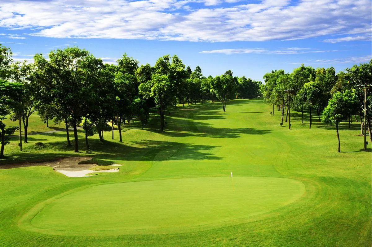 Healthy Trees, Happy Golfers: Tree Care for Utah Courses
