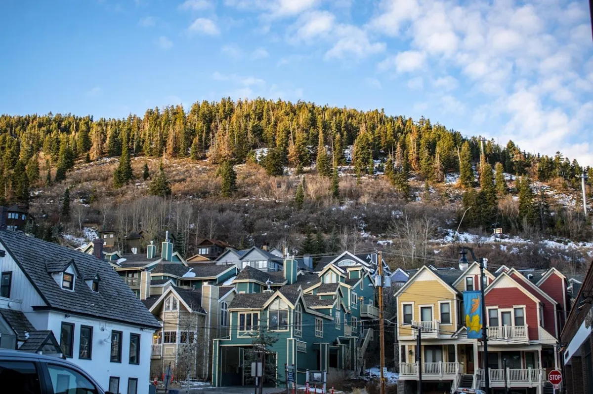 Don't Let Pests Win: How to Keep Park City Trees Healthy Year-Round