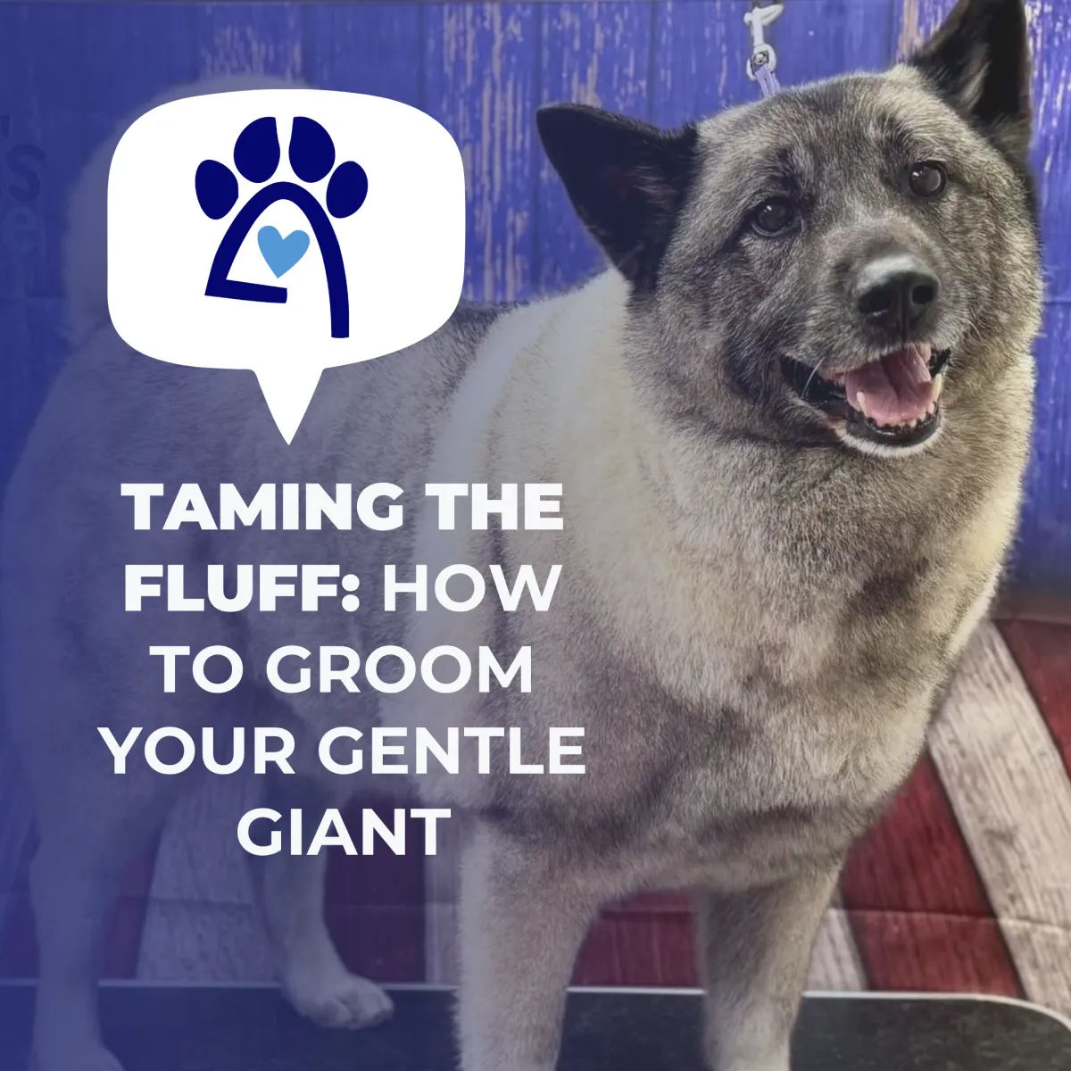 Taming the Fluff: Grooming Large Breed Dogs