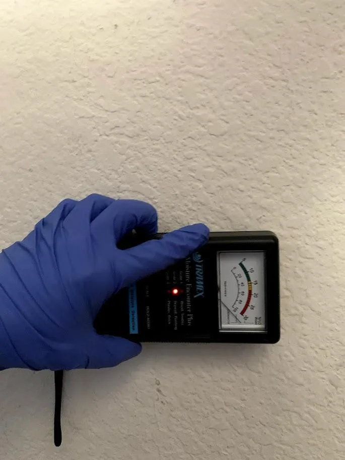 Mold Remediation in North Hollywood & Pasadena: The Complete Guide for Homeowners