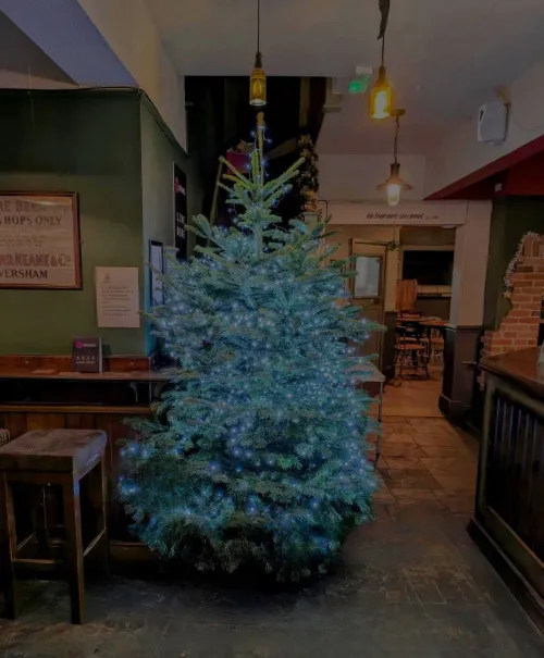 The Wishmas Tree: How One Pub Turned a Christmas Tree Into a Beacon of Hope