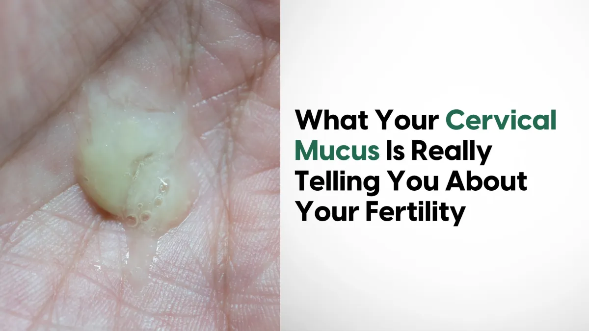 What Your Cervical Mucus Is Really Telling You About Your Fertility