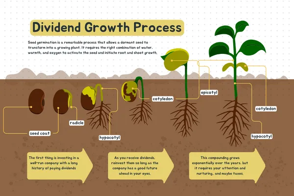 Dividend growth as seed growth analogy