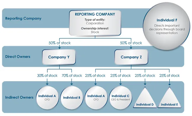 BOI Reporting Flow Chart