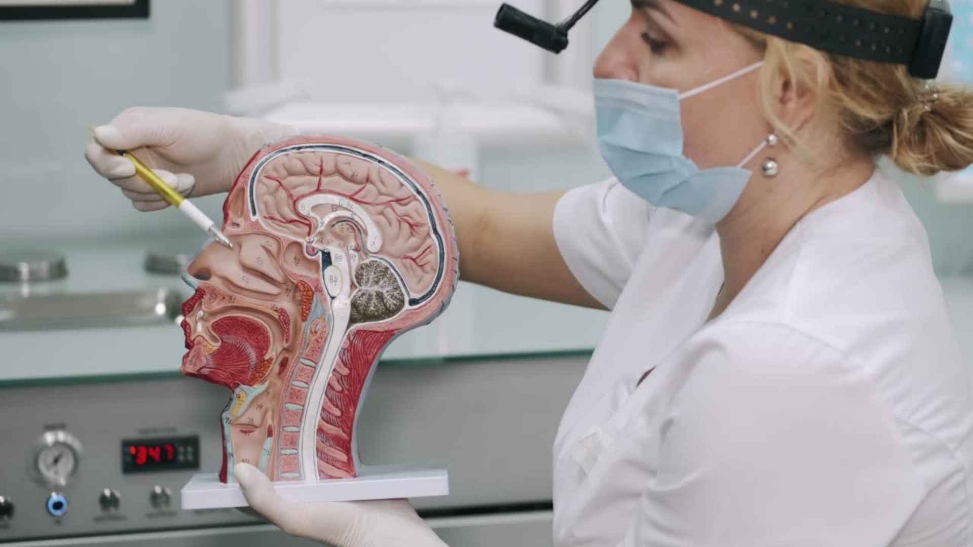 Neuroplasticity and Weight Loss: How to Rewire Your Brain for Lasting Results