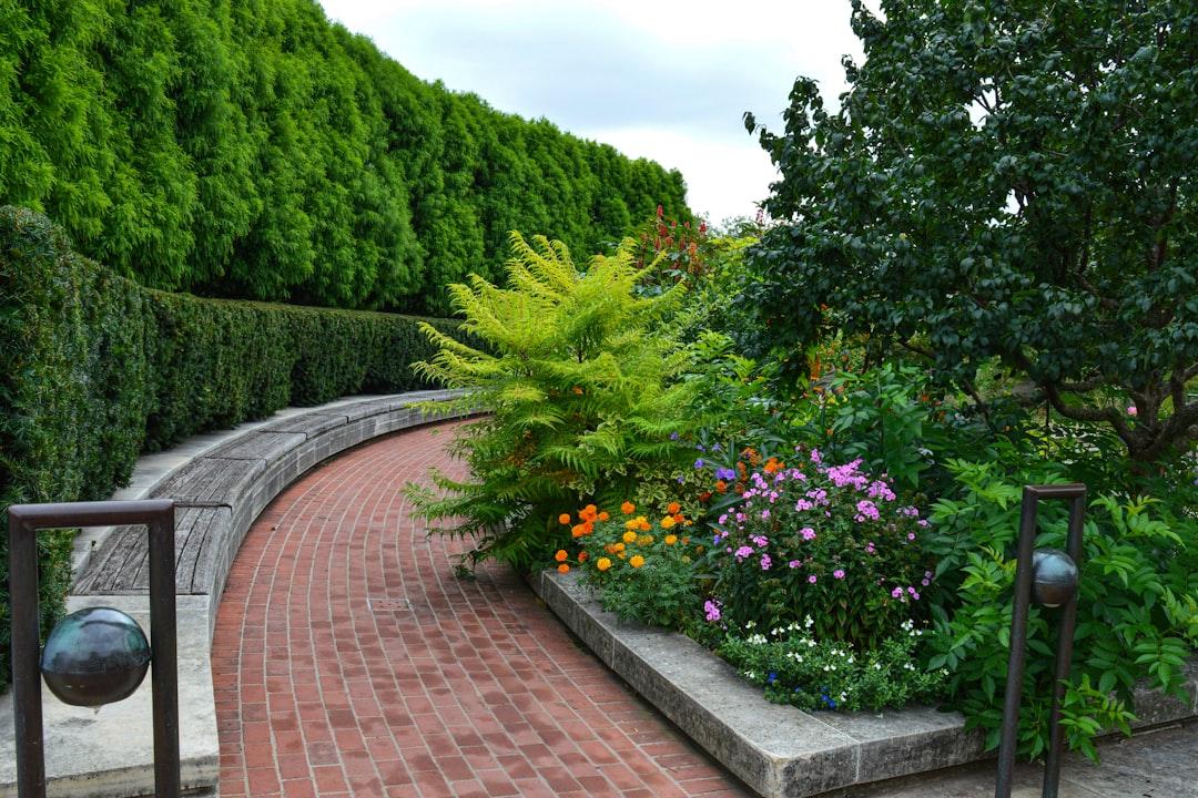 The Best Plants for Low-Maintenance Landscaping