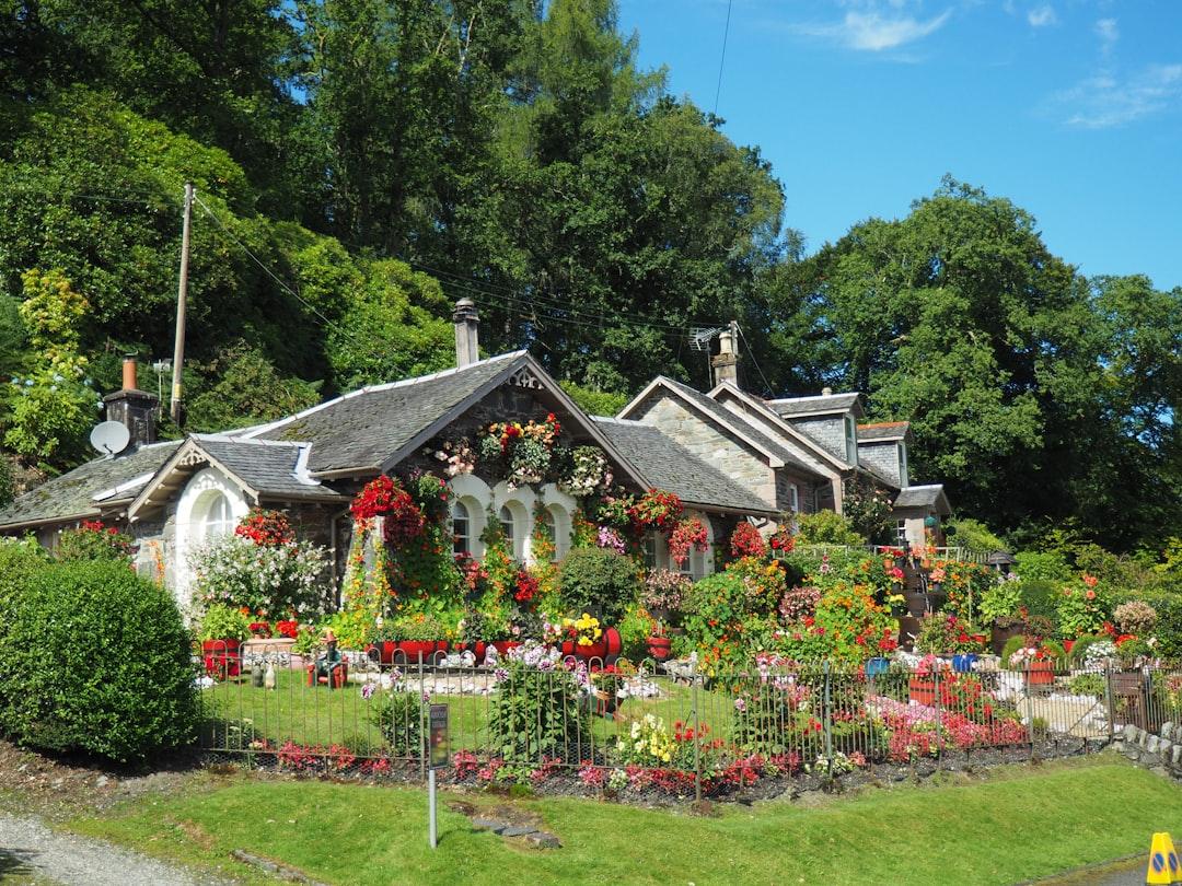 Create a Self-Sufficient Backyard Oasis: Complete Guide