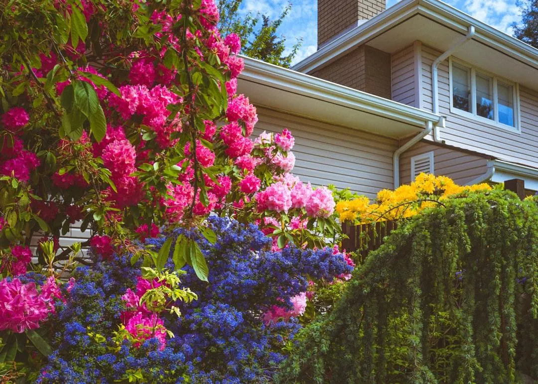 Small Front Yard Landscaping Ideas: Low-Maintenance Tips