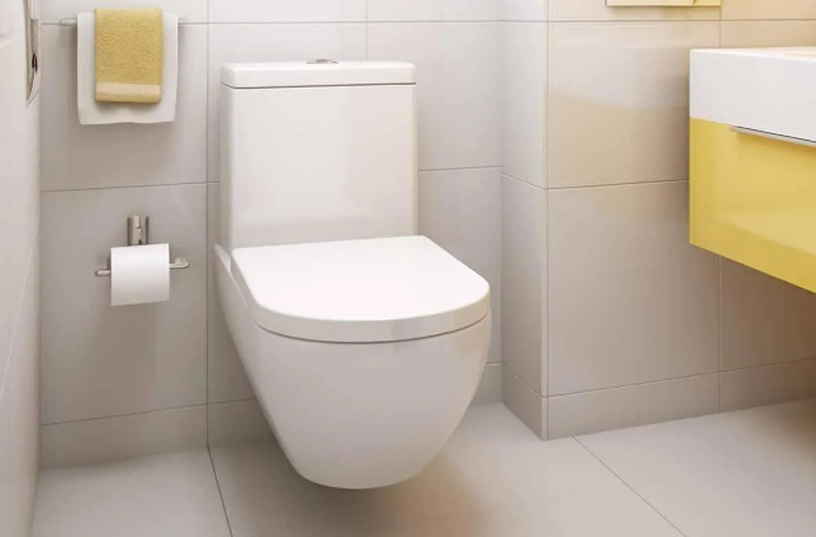 toilet