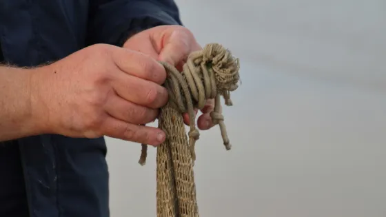 The Untyer of Knots