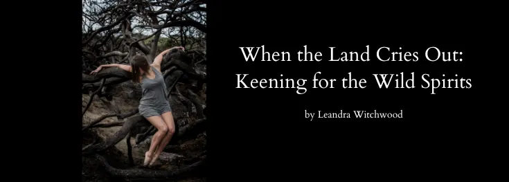 When the Land Cries Out