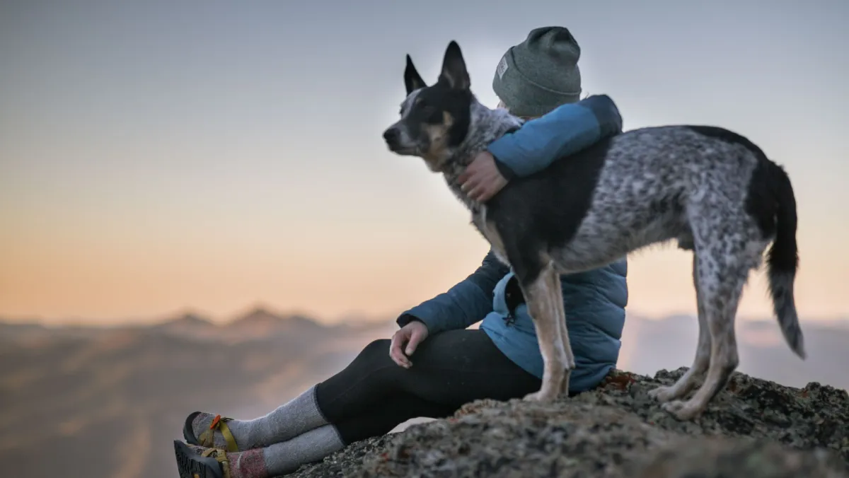Emergency Response and Life-Saving Techniques for Dogs 