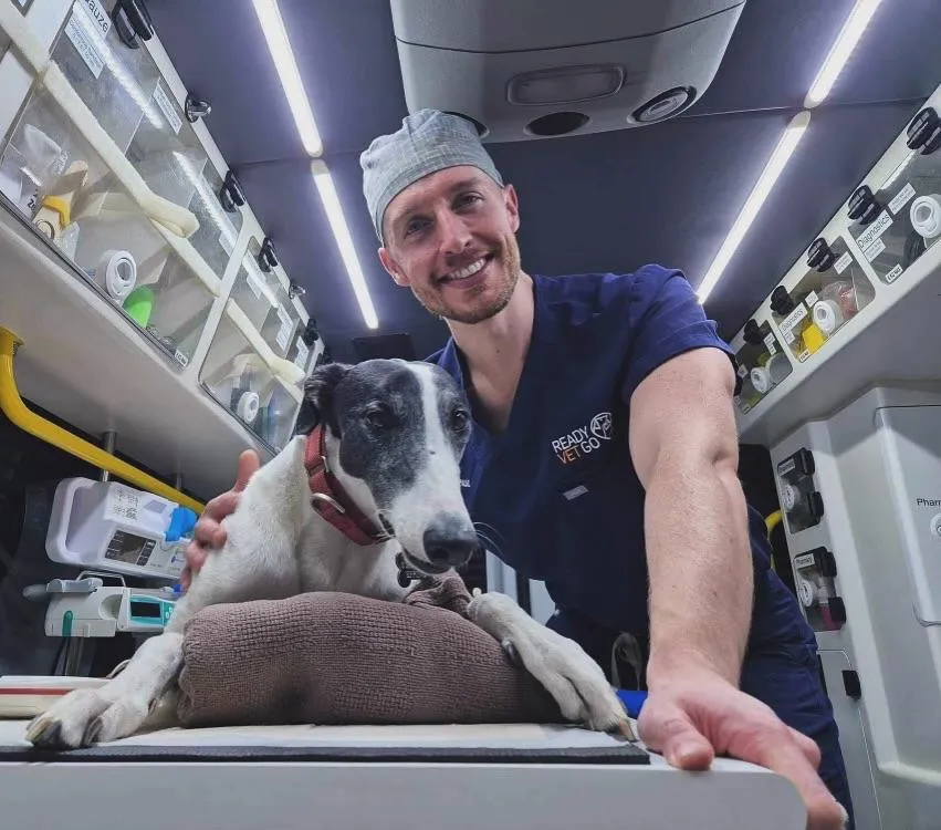 Veterinary Paramedics and Cardiac Emergencies