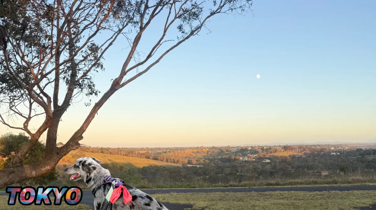 When Plans Change (and That’s Okay)
