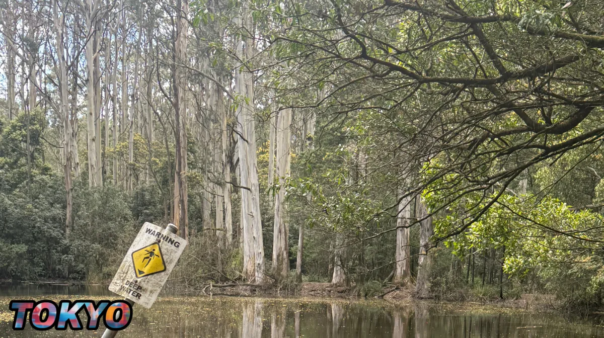 Action Before Motivation