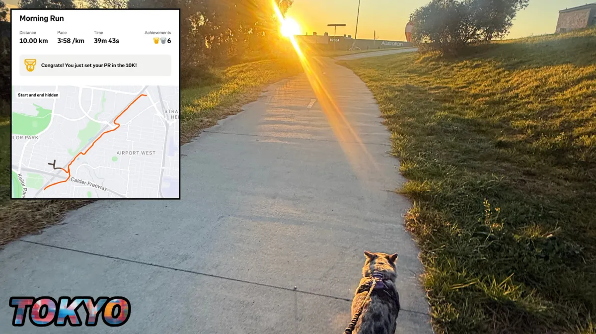 Strava map and stats showing a personal best 10 km run at 39:43 during marathon training.