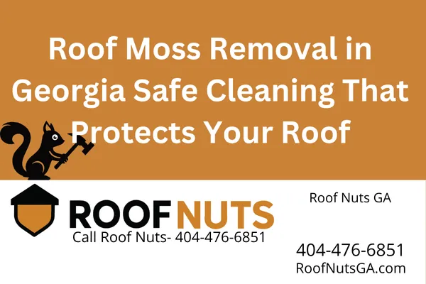 Roof Moss Removal in Georgia | Safe Cleaning That Protects Your Roof